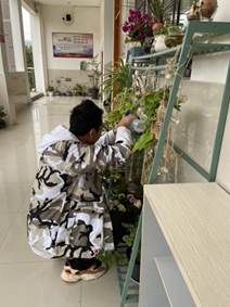 植物角1